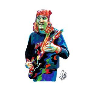 Joe Walsh Eagles Singer Guitar Rock Music Poster Print Wall Art 11x17